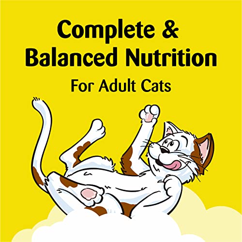 TEMPTATIONS Classic Crunchy and Soft Cat Treats Tasty Chicken Flavor, 30 oz. Tub - Image 6