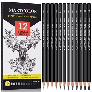 MARTCOLOR Drawing Sketching Pencils Set, 12 Pack Graphite Pencils(14B – 2H), Ideal for Drawing Art, Sketching, Shading, Artist Pencils for Artist Adults Kids Beginner